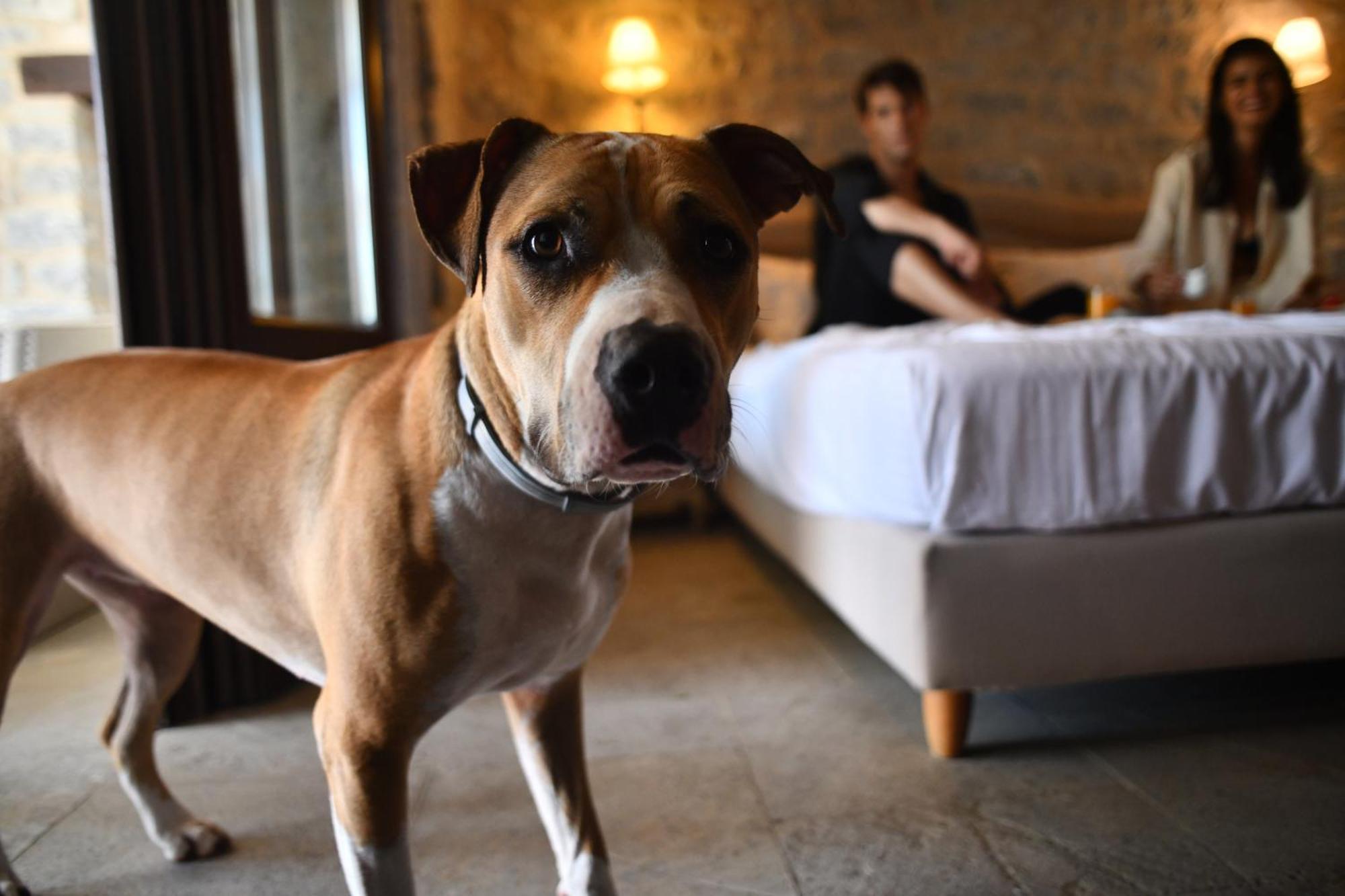 Petra & Fos Boutique Hotel & Spa Итило Екстериор снимка